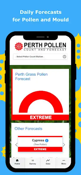 Play Perth Pollen  and enjoy Perth Pollen with UptoPlay