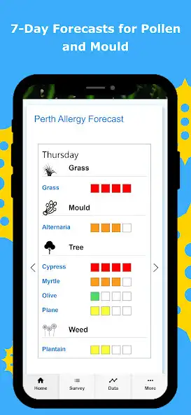 Play Perth Pollen as an online game Perth Pollen with UptoPlay