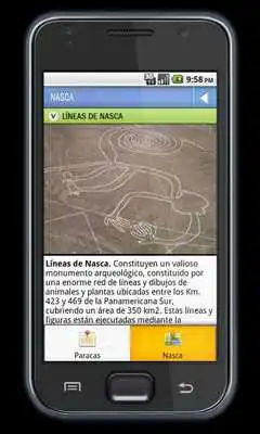 Play PERUTURIX: Paracas  Nasca