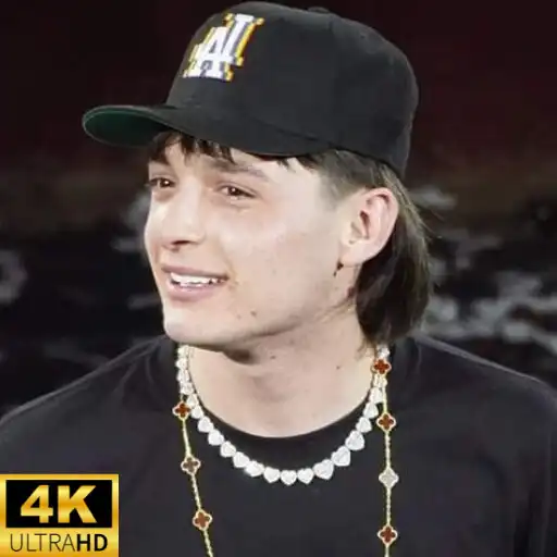 Play Peso Plumas Masterpieces APK