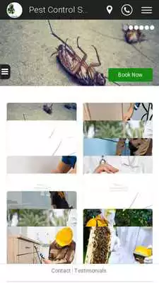 Play Pest Control Solutions