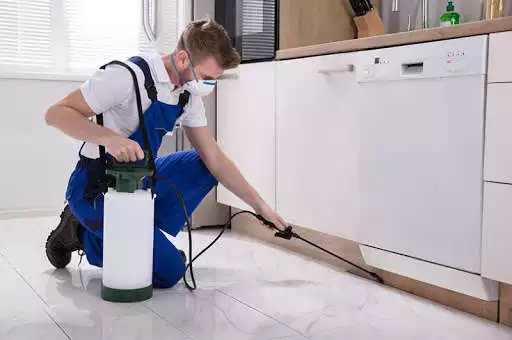 Play PestHit - DIY Pest Control  and enjoy PestHit - DIY Pest Control with UptoPlay