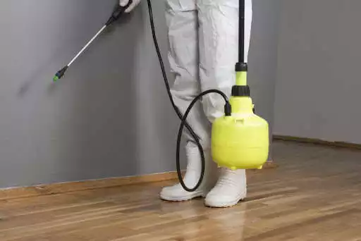 Play PestHit - DIY Pest Control as an online game PestHit - DIY Pest Control with UptoPlay