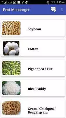 Play Pest-Messenger Play Pest-Messenger