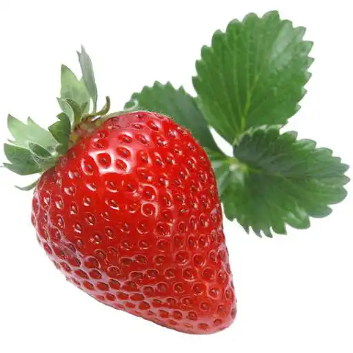 Play PESTS AND DISEASES OF STRAWBERRY APK