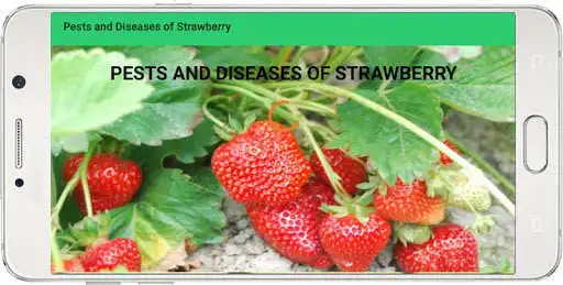 Play PESTS AND DISEASES OF STRAWBERRY  and enjoy PESTS AND DISEASES OF STRAWBERRY with UptoPlay