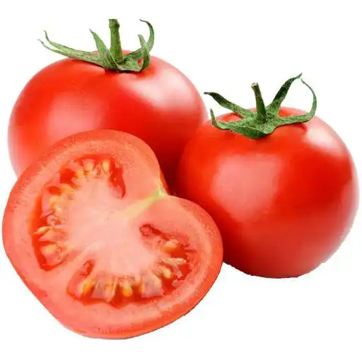Play Pests and Diseases of Tomato APK Play Pests and Diseases of Tomato APK
