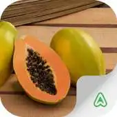 Free play online Pests of Papaya APK