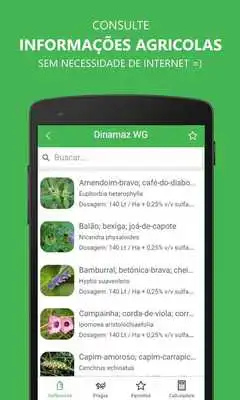 Play Pests of Papaya