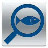 Free play online Pestwatch APK