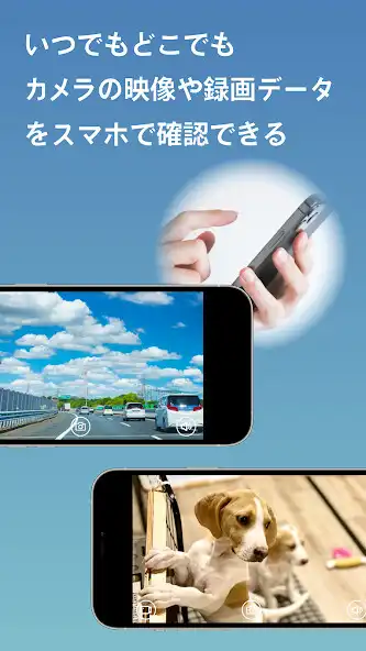 Play PetaCame  and enjoy PetaCame with UptoPlay