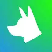 Free play online Pet Adopter APK Free play online Pet Adopter APK