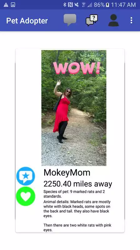 Play Pet Adopter