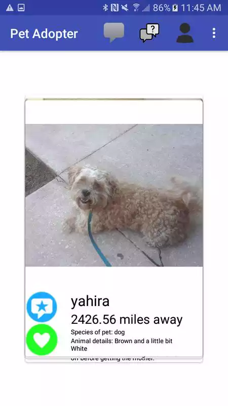 Play Pet Adopter