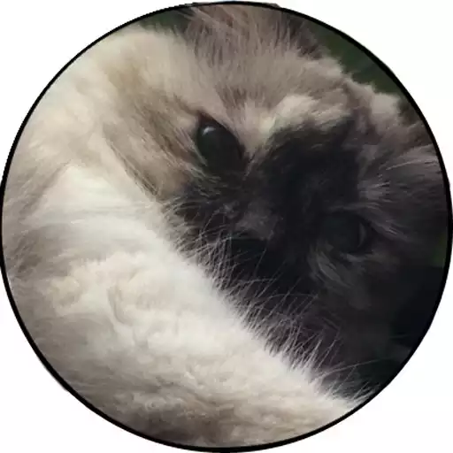 Play Pet Age Calculator APK Play Pet Age Calculator APK