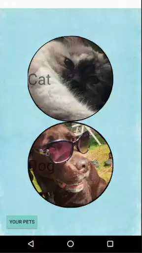 Play Pet Age Calculator  and enjoy Pet Age Calculator with UptoPlay