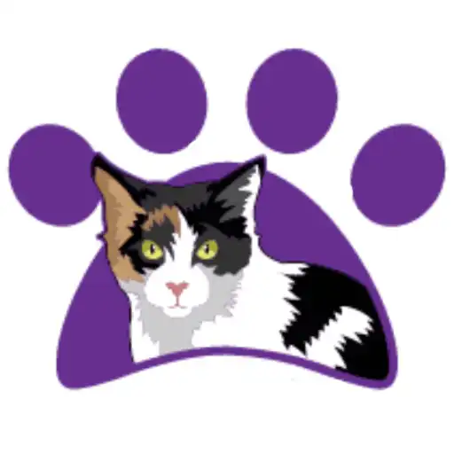 Play Pet Ai APK Play Pet Ai APK