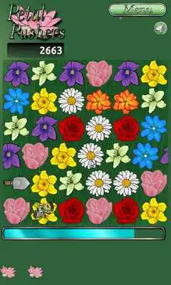 Play Petal Pushers Time Attack