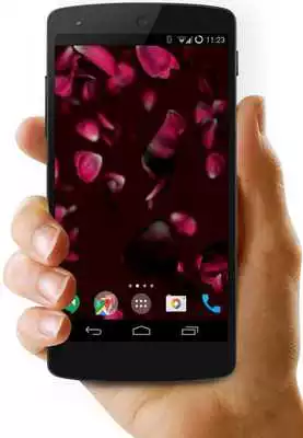 Play Petals 4K Video Live Wallpaper