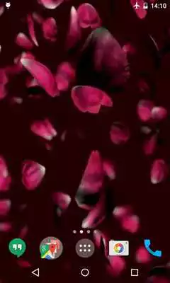 Play Petals 4K Video Live Wallpaper