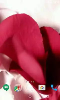 Play Petals 4K Video Live Wallpaper