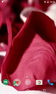 Play Petals 4K Video Live Wallpaper