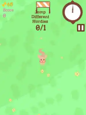 Play Petapalooza