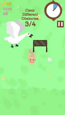 Play Petapalooza