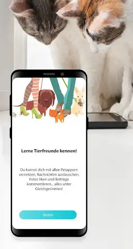 Play petapp