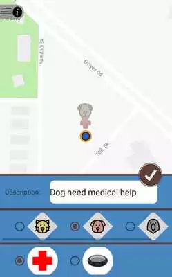 Play Petaround Play Petaround