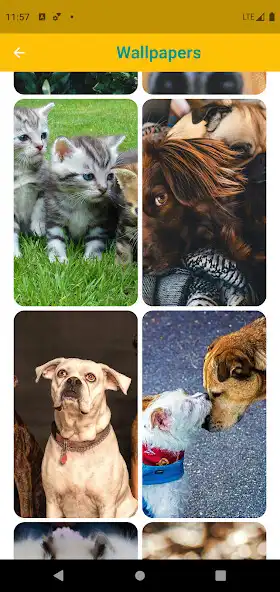 Play Pet Book as an online game Pet Book with UptoPlay