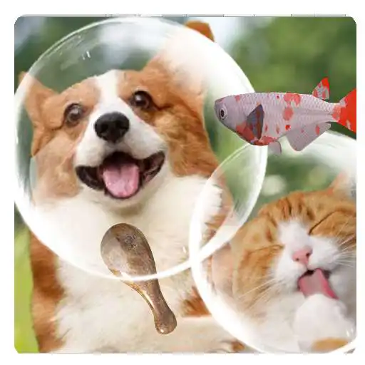 Play Pet Bubble APK Play Pet Bubble APK