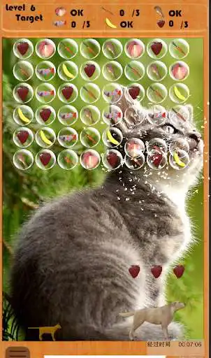 Play Pet Bubble  and enjoy Pet Bubble with UptoPlay