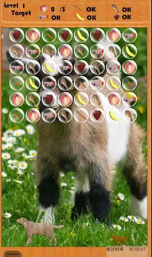 Play Pet Bubble as an online game Pet Bubble with UptoPlay