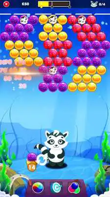 Play Pet Bubble Shooter