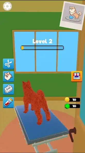 Play Pet Care 3D  and enjoy Pet Care 3D with UptoPlay