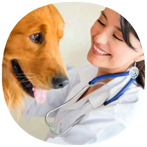 Play Pet Care Guide APK