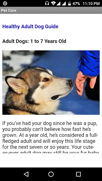 Play Pet Care Guides as an online game Pet Care Guides with UptoPlay