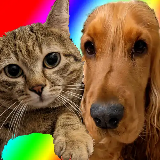 Play Pet Challenge Multiplayer APK Play Pet Challenge Multiplayer APK