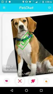 Play PetChat Play PetChat
