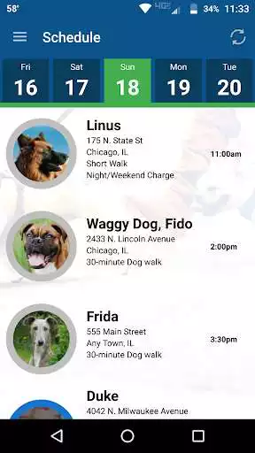 Play Pet Check: Staff