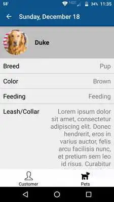 Play Pet Check: Staff