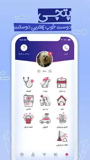 Play Petchi