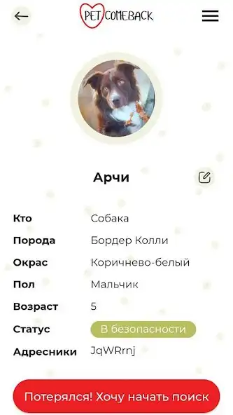 Play Petcomeback and enjoy Petcomeback with UptoPlay Play Petcomeback and enjoy Petcomeback with UptoPlay