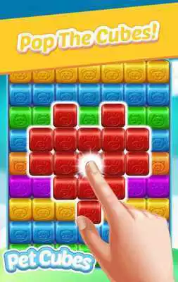 Play Pet Cubes