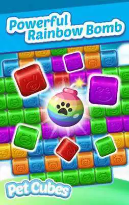 Play Pet Cubes