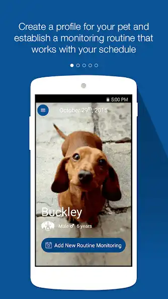 Play Pet Diabetes Tracker  and enjoy Pet Diabetes Tracker with UptoPlay