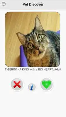 Play Pet Discover - Adopt a Pet