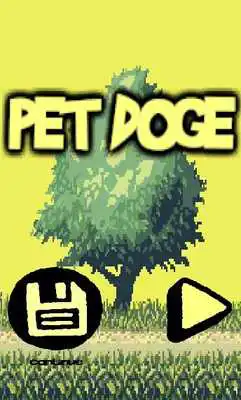 Play Pet Doge