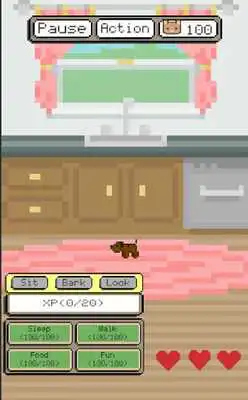 Play Pet Doge